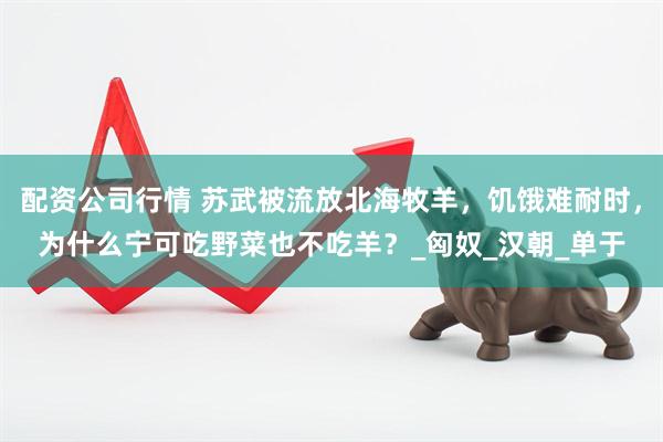配资公司行情 苏武被流放北海牧羊，饥饿难耐时，为什么宁可吃野菜也不吃羊？_匈奴_汉朝_单于